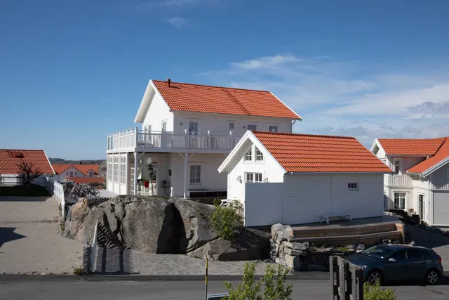 Strandsnäckan